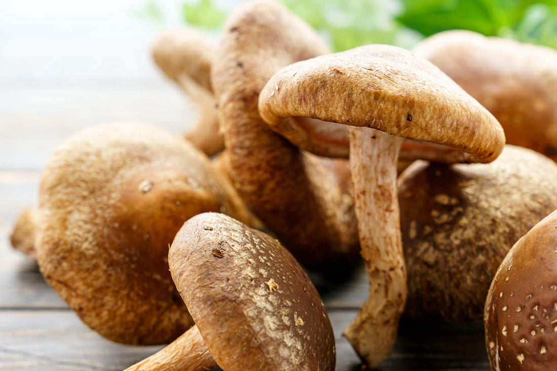 Organic shiitake mushrooms for immunity and heart health
