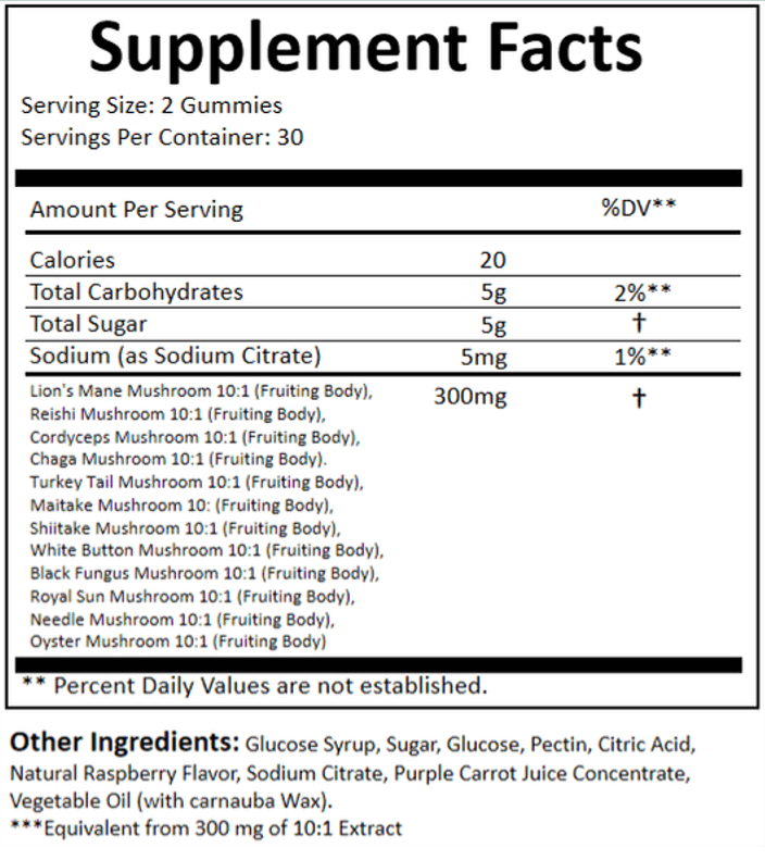 Lion’s Mane, Reishi, Chaga mushroom gummy ingredients