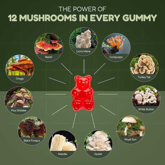 The Amazing Benefits of Mushroom Gummies: A Tasty Way to Boost Your Health