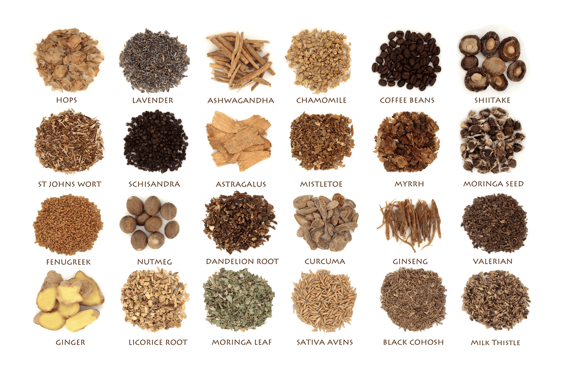 An image of different types of supplements