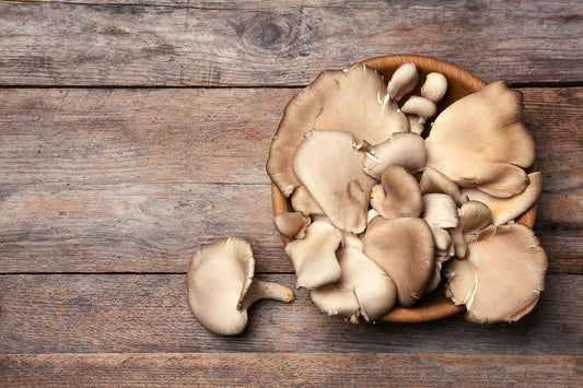 A picture of Oyster Mushrooms In a Bowl