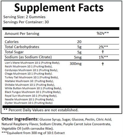 Lion’s Mane, Reishi, Chaga mushroom gummy ingredients